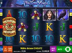 Sunnyplayer casino screenshot