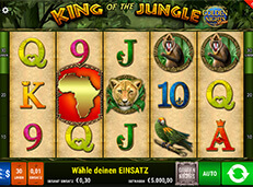 Sunnyplayer casino screenshot